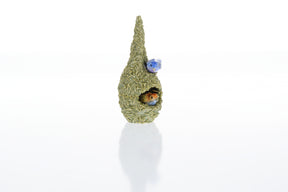 Keren Kopal Two love Birds in a nest Trinket Box
