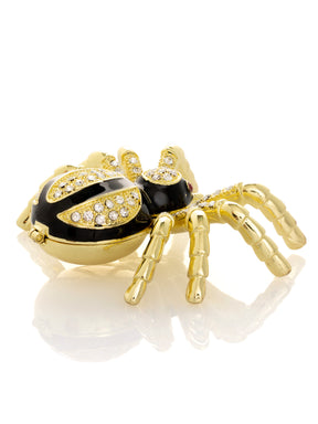 Gold & Black Tarantula Spider