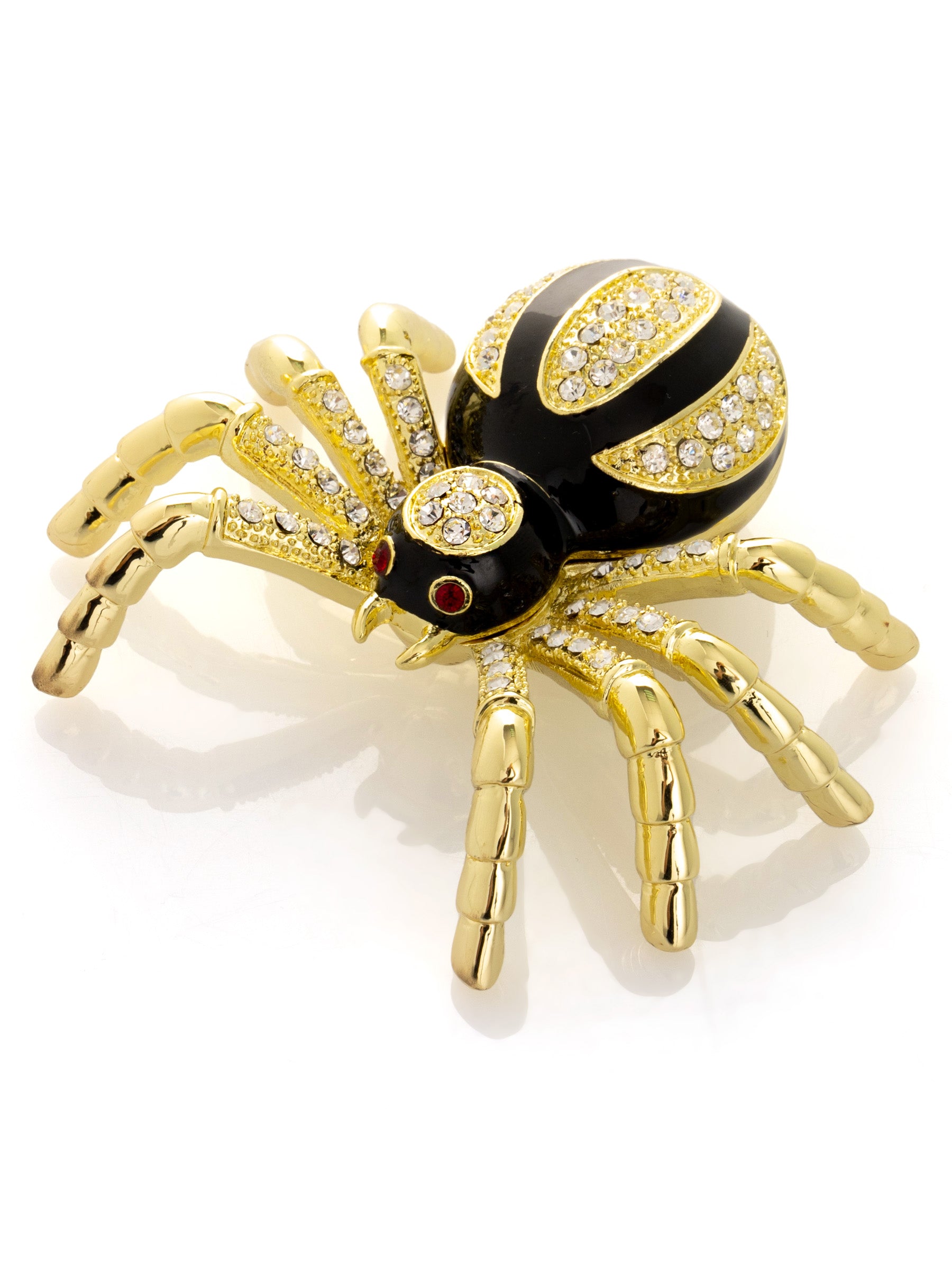 Gold & Black Tarantula Spider