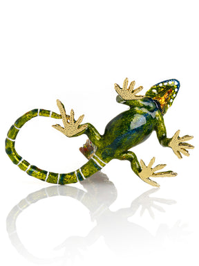 Green Iguana