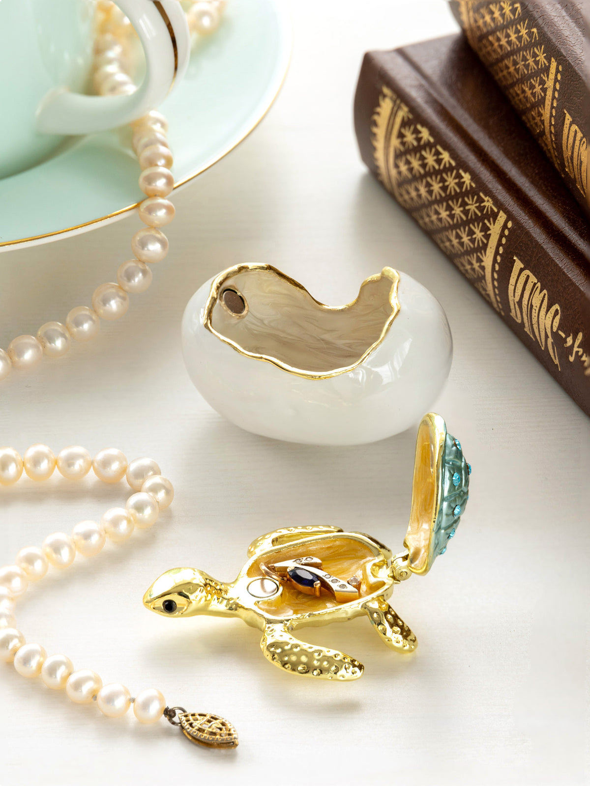 Keren Kopal Turtle Hatching from an Egg