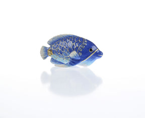 Blue Rainbowfish Fish trinket box