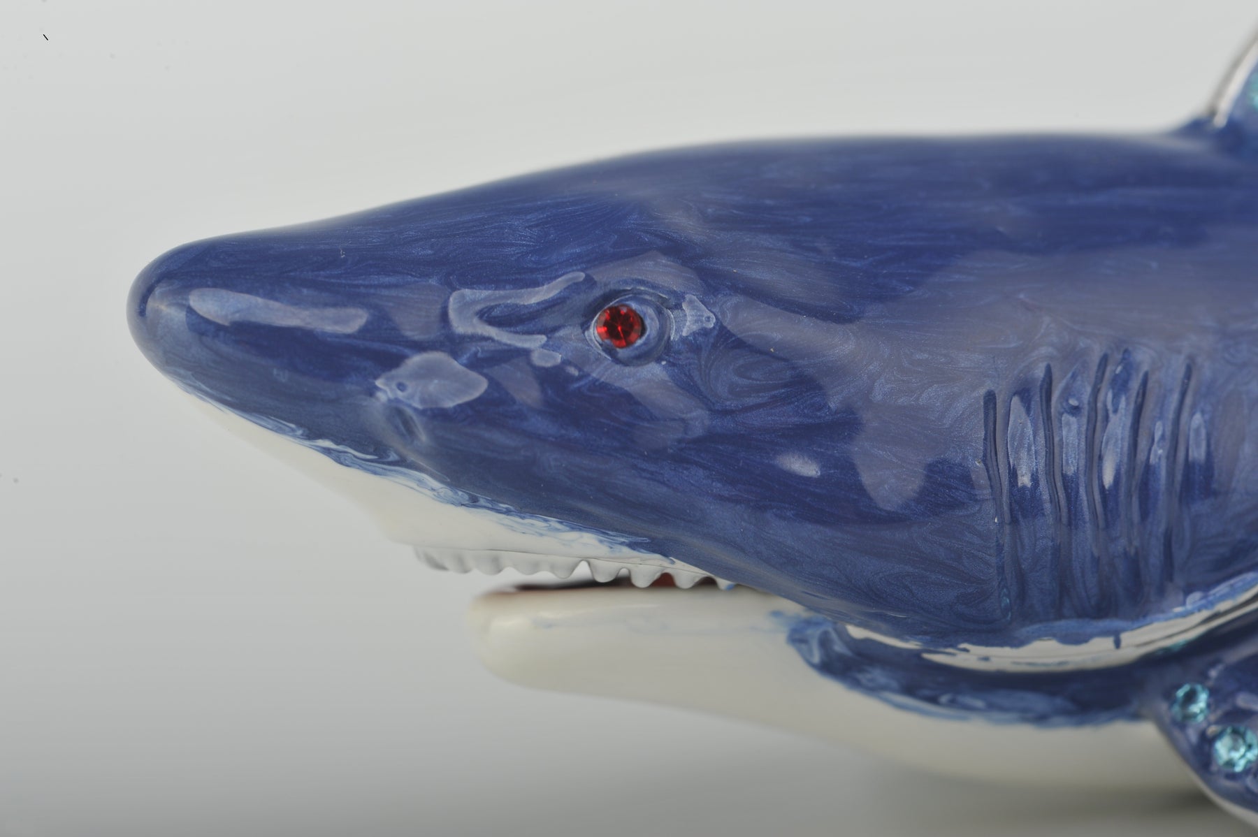 Blue Shark