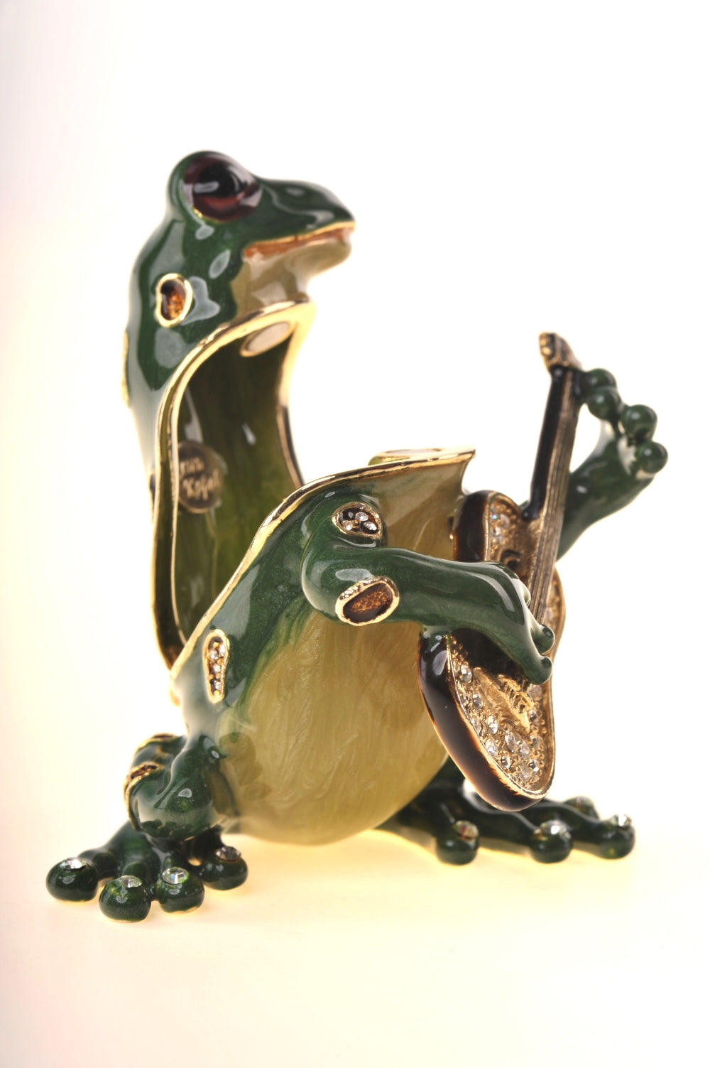 Guitar Playing Frog