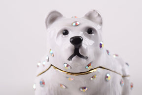 White Bear