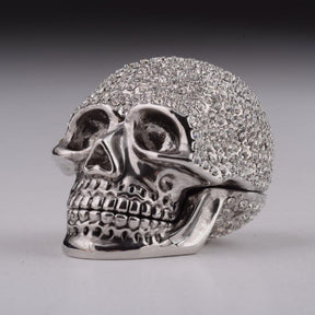 Silver Decorated Skull