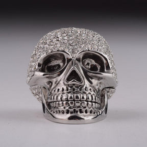 Silver Decorated Skull