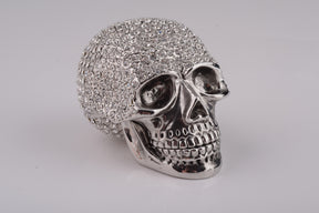 Silver Decorated Skull