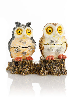 Two Owls Sitting on Tree Trunk