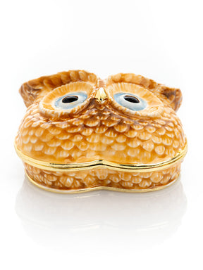 Brown Owl face trinket box