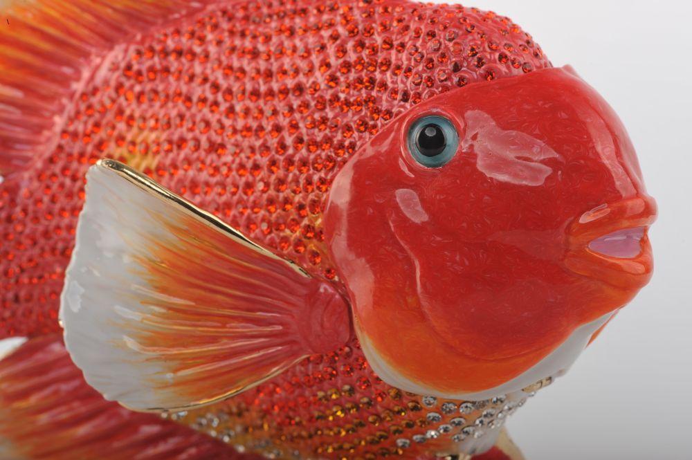 Keren Kopal Red Goldfish  339.00