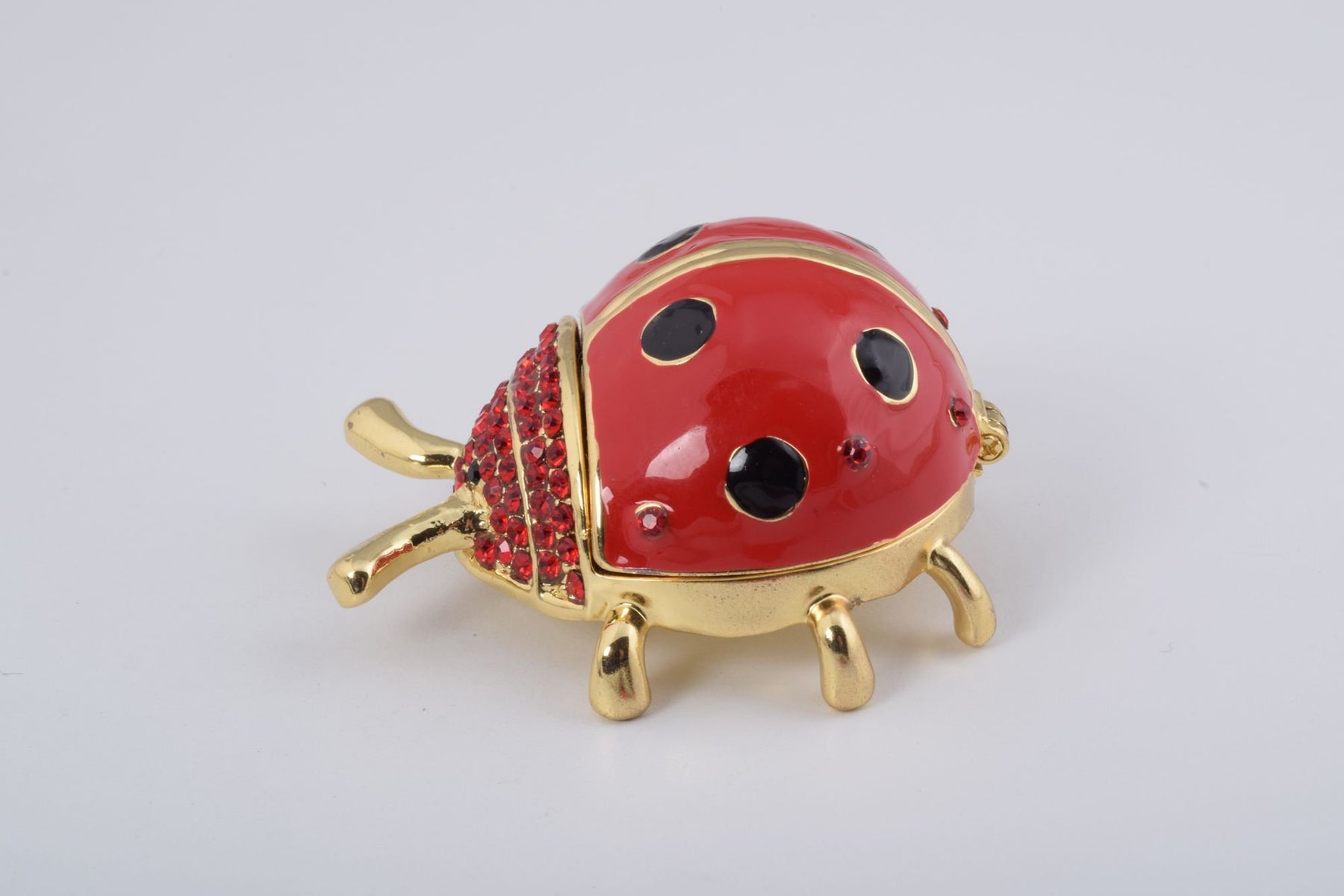 Red Ladybug  Keren Kopal