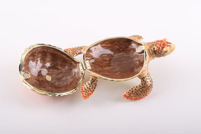 Red Sea Turtle  Keren Kopal