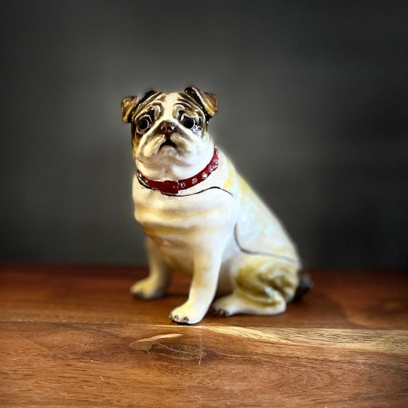 white bulldog dog